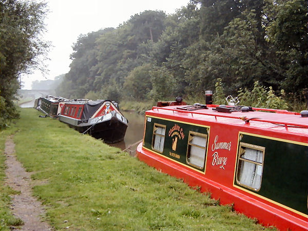 Moored on The Belt near Nantwich